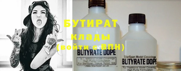 шишки Аркадак