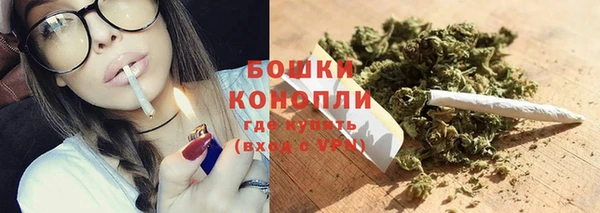 шишки Аркадак