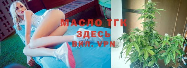 шишки Аркадак