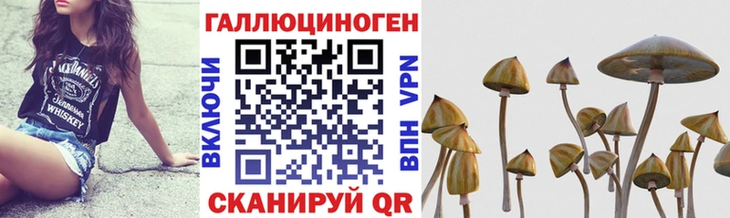 Купить где  Учалы  Псилоцибиновые грибы прущие грибы 